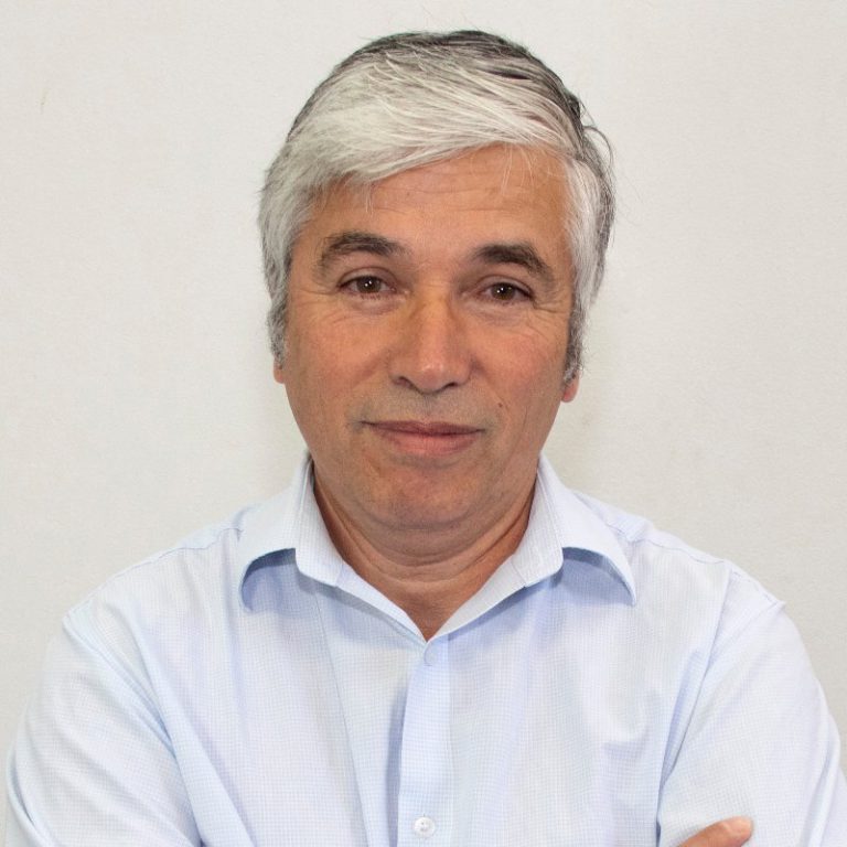 Víctor Puchi Estrada